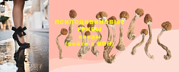 PSILOCYBIN Краснослободск