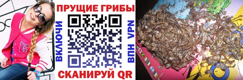Псилоцибиновые грибы прущие грибы  Купить закладки  Вельск 