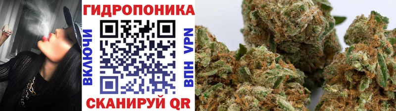 Купить  Вельск  Каннабис сатива 